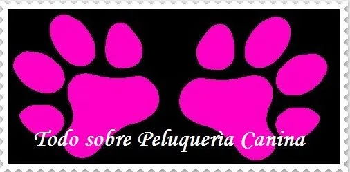 pegatinas-huellas-de-gato- ...