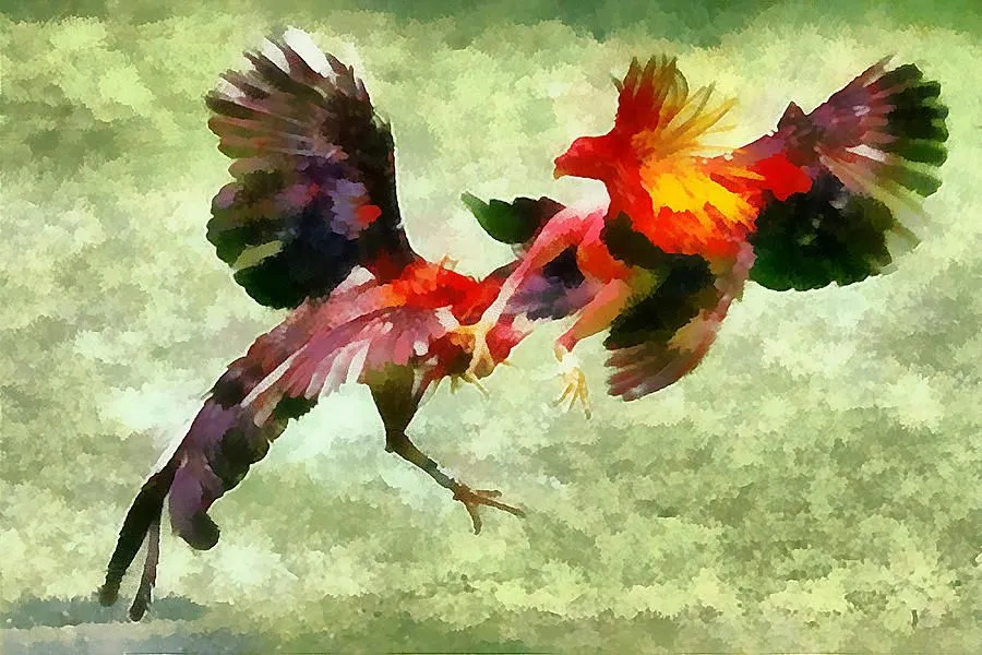 Pelea De Gallos Art for Sale