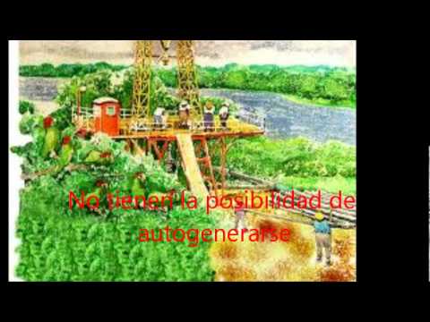 Mi película sobre Los recursos renovables y no renovables.wmv ...