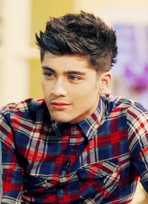 Zayn malik pelo - Imagui