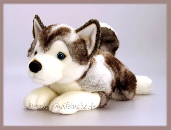 Peluche de chien Husky, Storm, taille 50cm. Peluche réaliste de ...