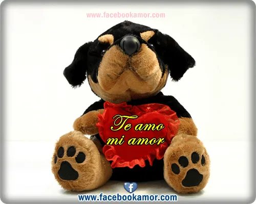 Peluches de amor para san valentín Imagenes Bonitas para Facebook ...