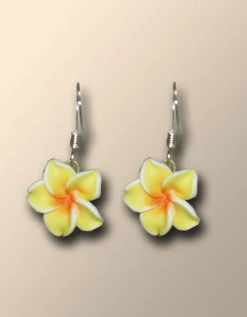 Pendientes con flor hawaiana | Flickr - Photo Sharing!