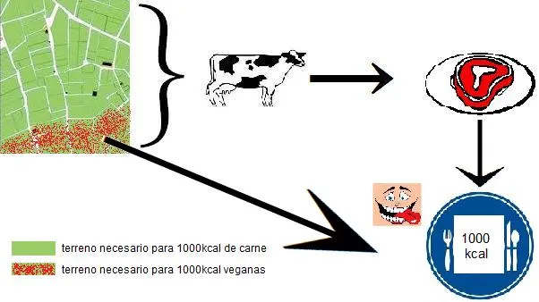 HAS PENSADO EN LO QUE COMES? La ganadería industrial: pan para hoy ...