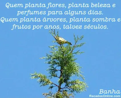 Pensamentos - Imagens, Mensagens e Frases para Facebook