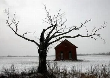 Pensamientos: Árbol. : El Rincón de Nekromancer