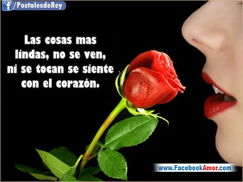 Pensamientos bonitos de amor - Imágenes Bonitas para Facebook Amor ...