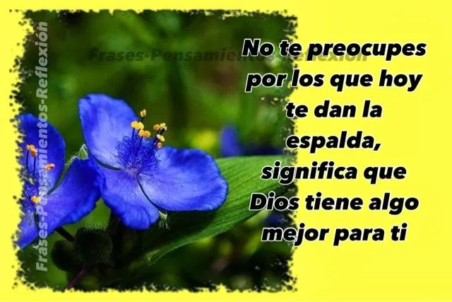 Pensamientos De La Vida Diaria : No te preocupes por los que hoy ...