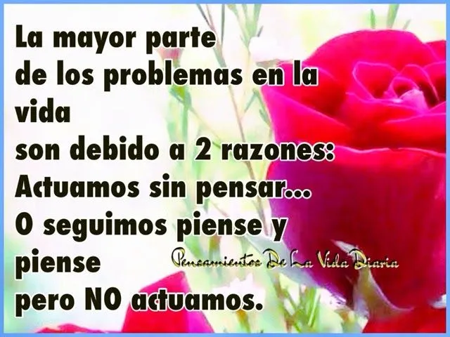 Pensamientos De La Vida Diaria : La mayor parte de los problemas ...