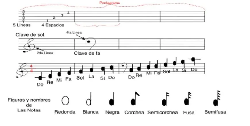 Pentagrama Notas y figuras « TEORIA MUSICAL