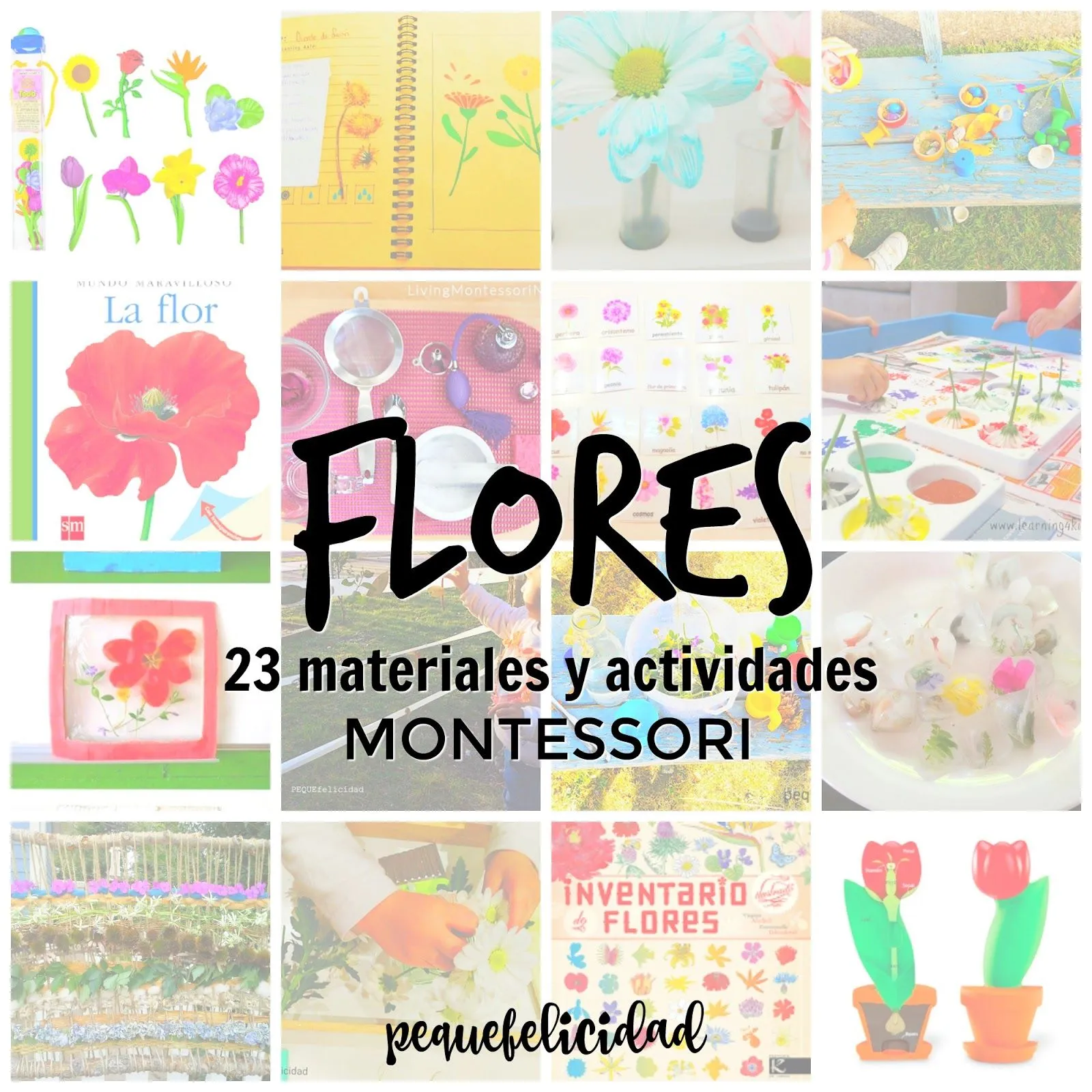 PEQUEfelicidad: FLORES: 23 ACTIVIDADES Y MATERIALES MONTESSORI