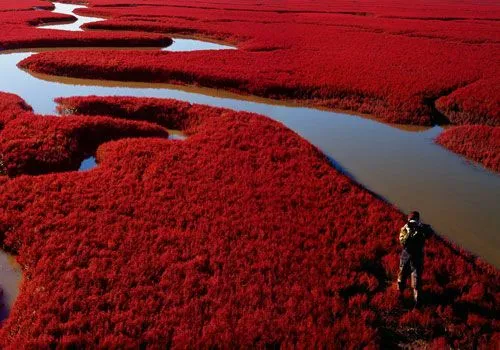 Pequeñas Maravillas del Mundo: Mar Rojo, China