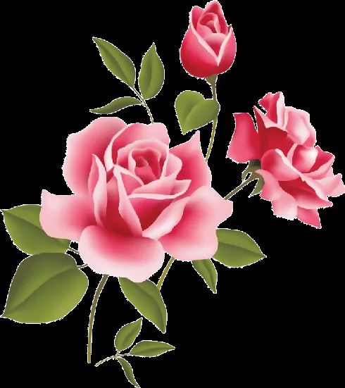 Imagenes png de flores - Imagui