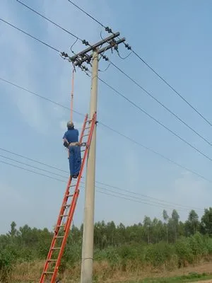 Peralejano se cae de poste de luz | CEVICOS.COM