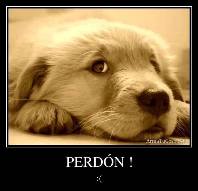 PERDÓN !