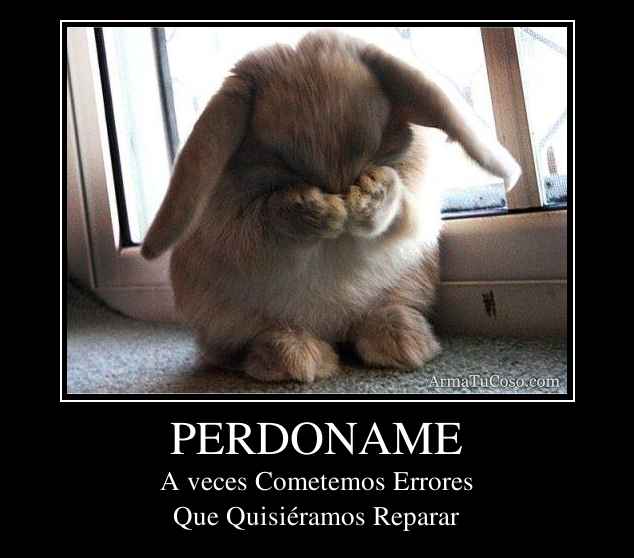 PERDONAME