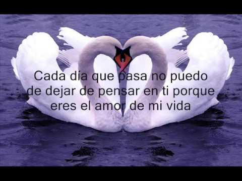 PERDONAME AMOR MIO - YouTube