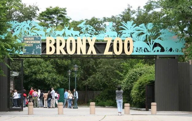 A Perfect Day at the Bronx Zoo! | New York Guest