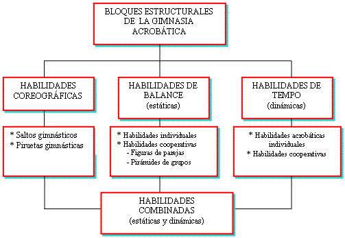 Perfil motor de la gimnasia acrobática: características y ...