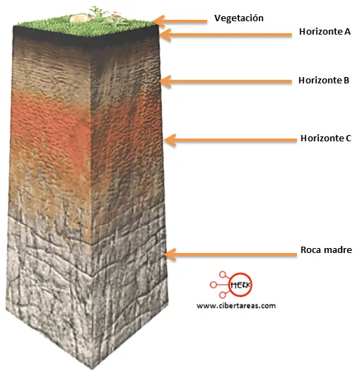 Perfil y tipos de suelo – Geografía - CiberTareas