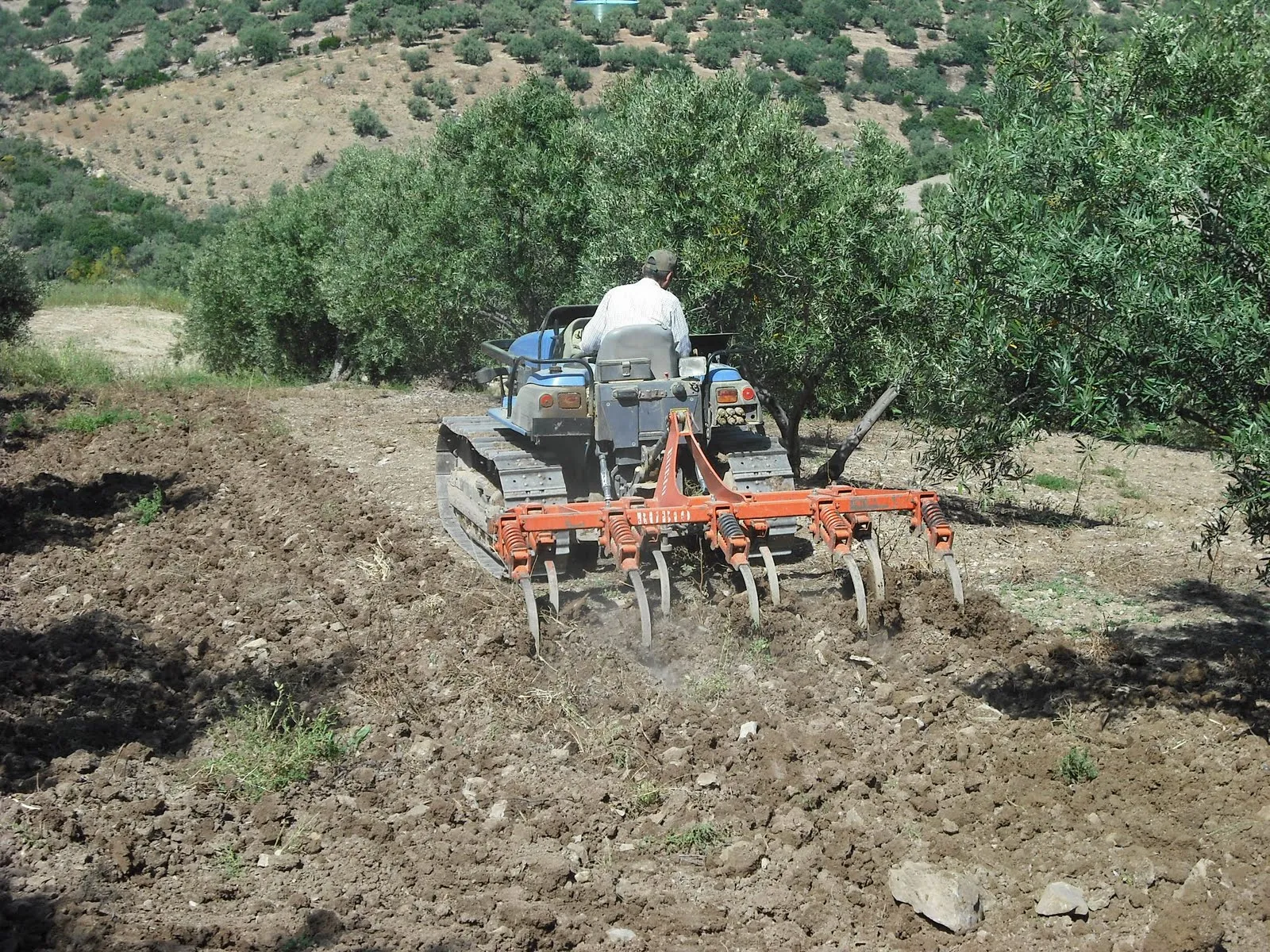 Periana y Pedanias: Oficios del Campo.