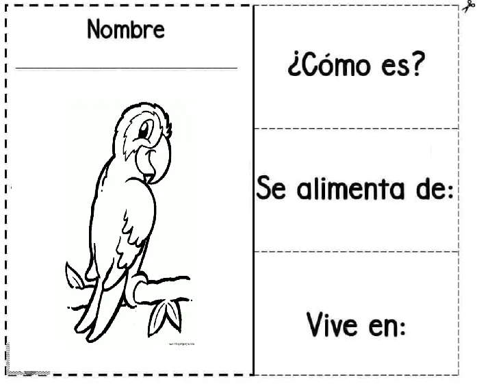 Periodistas 101: 101 Abril 2 de 2020