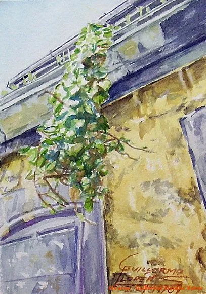 Periplos por el Paramo