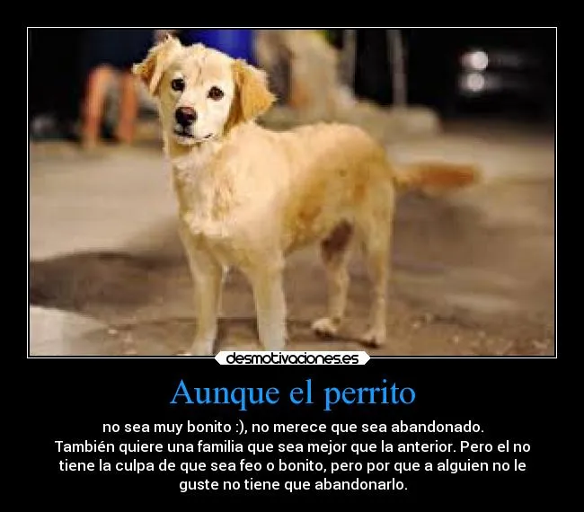 Aunque el perrito | Desmotivaciones