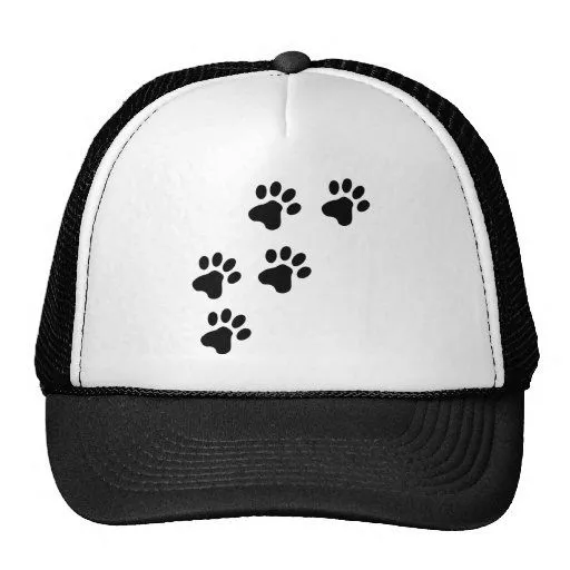 perrito lindo negro de las patas del perro gorras de Zazzle.