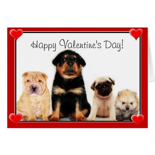 Perritos felices del el día de San Valentín Tarjetas | Zazzle