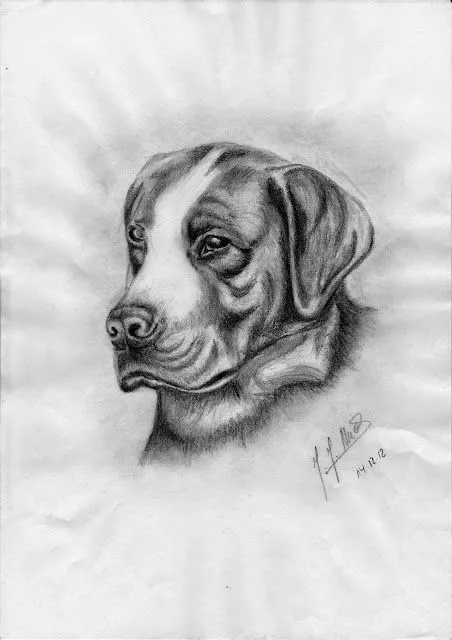 Perro a carboncillo en papel folio. (Boceto) ~ muestroArte
