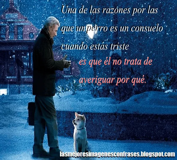 Porque un perro es un consuelo (Hachiko) - Las mejores imagenes ...