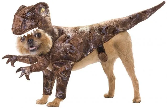 Perro disfrazado de dinosaurio - Mascotas Yep