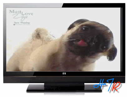 El perrito que lame la pantalla de tu monitor | BEN – HUR