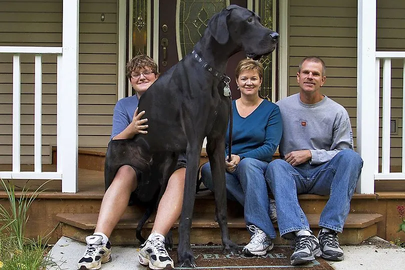 EL PERRO MAS... DEL MUNDO