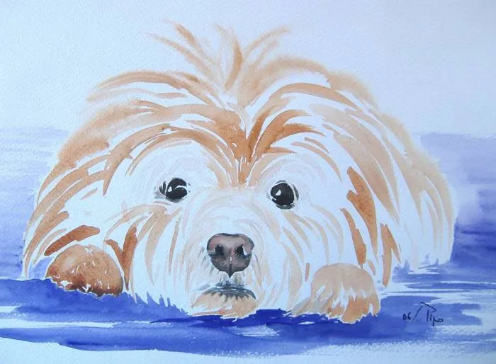 Acuarelas perros - Imagui