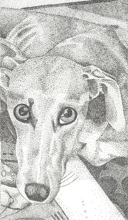 Perro en puntillismo by SaraHacha on deviantART