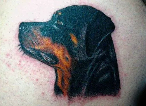  ... Perro Tattoo, Granada , originally uploaded by Marzia Tattoo