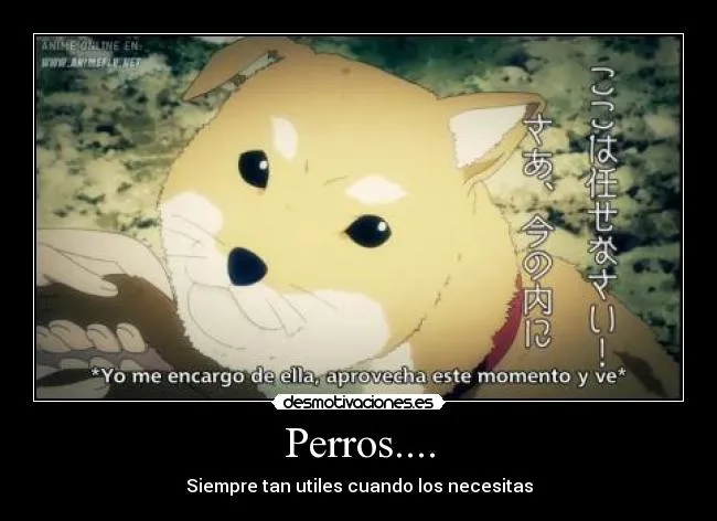 Perros de anime - Imagui