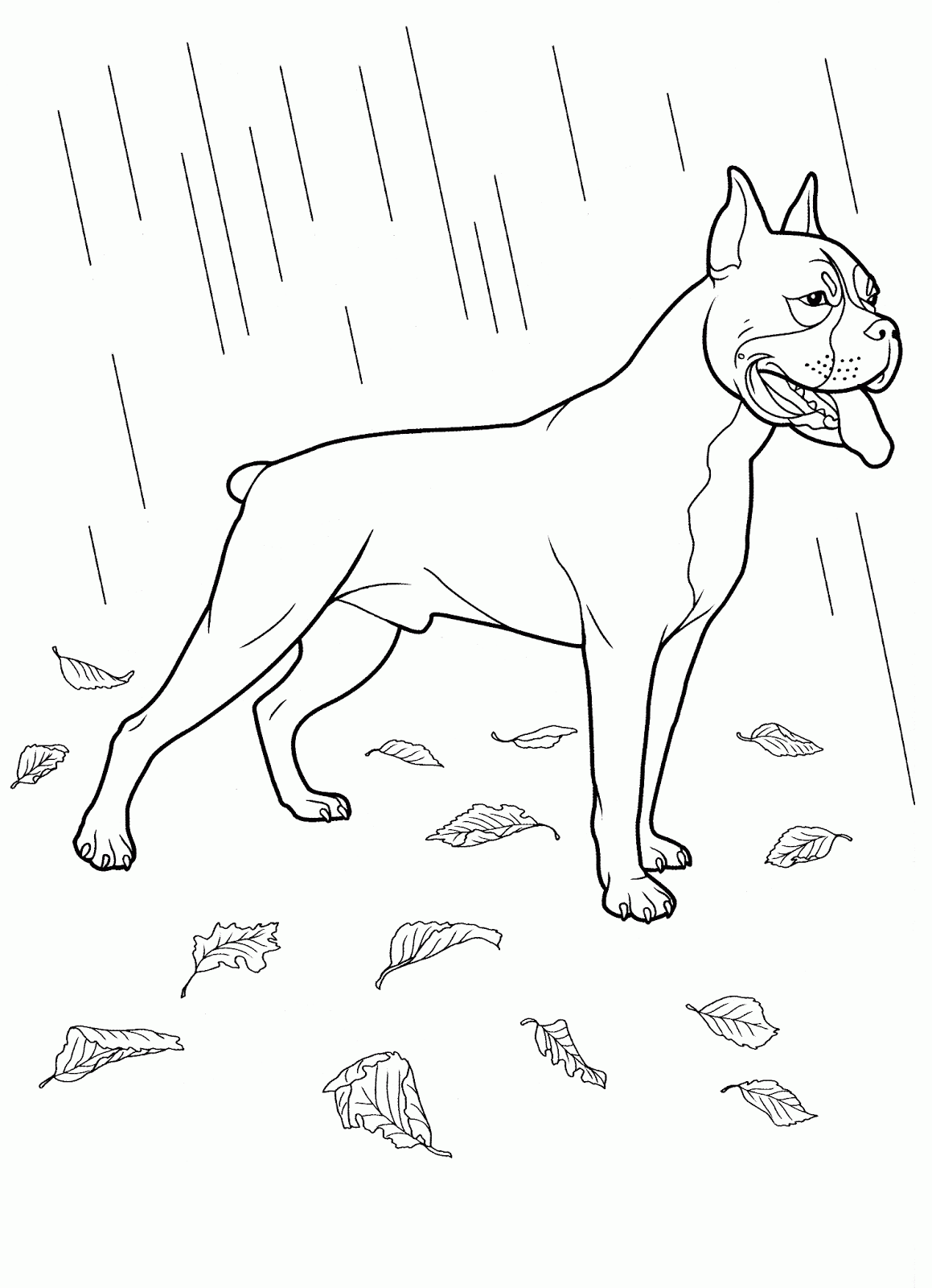 Animales para colorear: Razas de Perros
