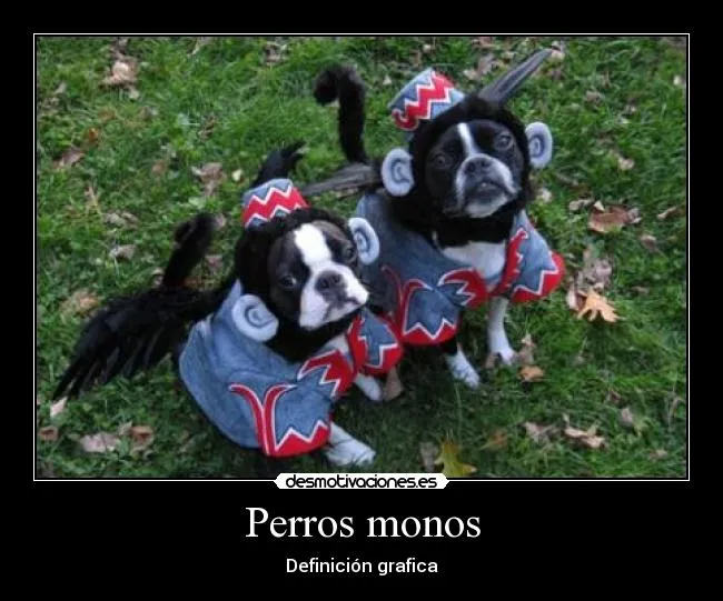 Perros monos - desmotivaciones.