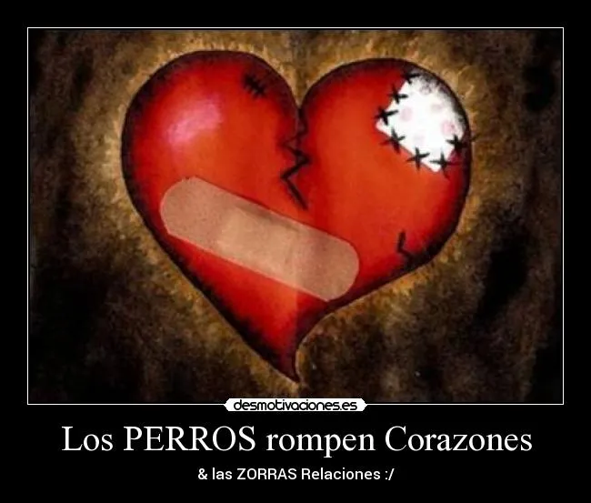 Los PERROS rompen Corazones | Desmotivaciones