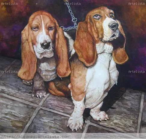 Perros Salchichas o Bassets Carlos Alberto González da Silva ...