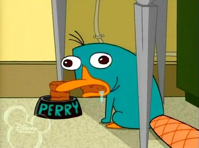 he aqui a perry el ornitorrinco algunos talvez piensen qe esta ...