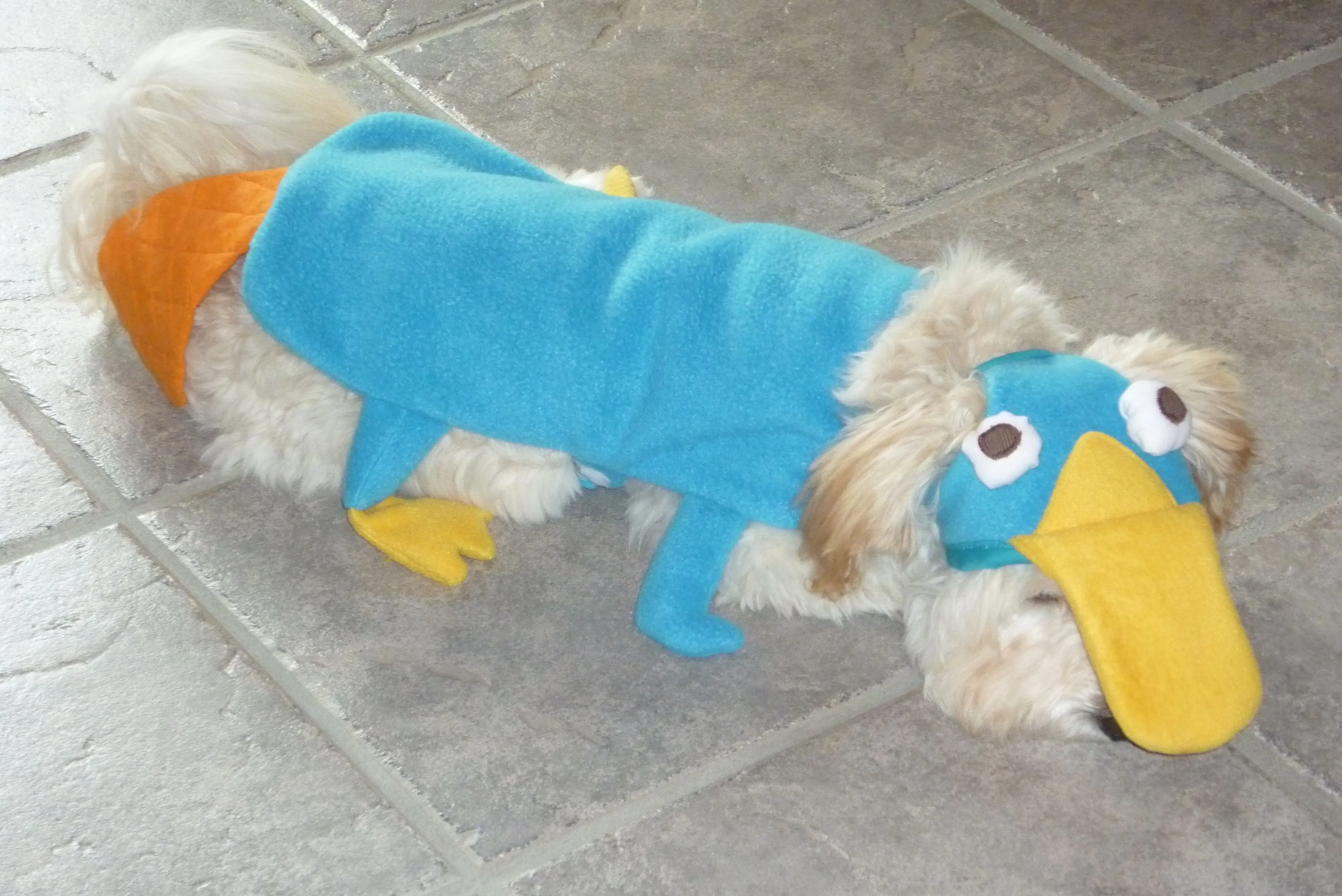 Perry the Platypus Halloween costume, I want to make this for one of my  cats lol!! | Perry the platypus, Pet halloween costumes, Halloween  inspiration