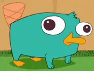 Perry the Platypus - Phineas and Ferb Fanon