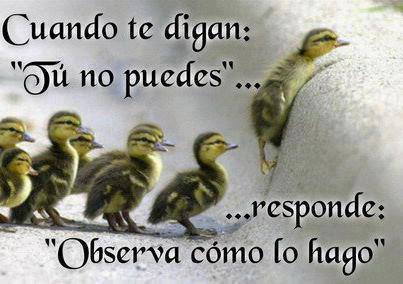 Perseverar: el buen empresario / emprendedor persevera - Dirección ...