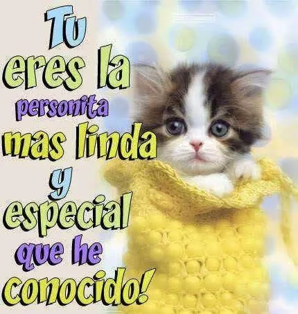 Tu eres la personita mas linda y especial que he conocido ...