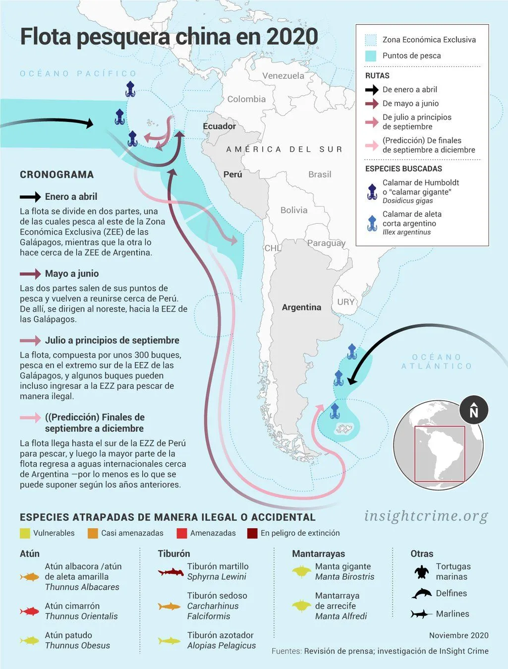 Pesca ilegal china en las Galápagos: una amenaza para la biodiversidad del  Pacífico Latinoamericano | openDemocracy