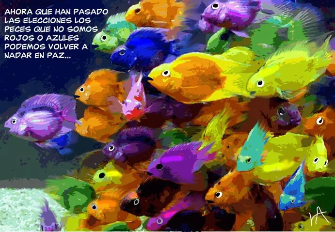 Pescados de colores - Imagui